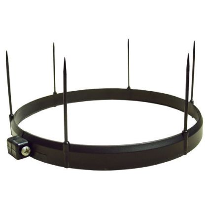 YOUNG Bird Ring Assembly